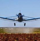 Aerial spraying could damage local's health