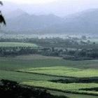 Academics in Florida say the law will hurt efforts to learn about Cuba's agriculture