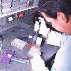 Cuban researcher testing samples for Dengue virus