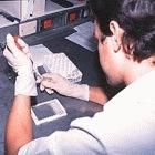 A Cuban lab technician doing research on dengue fever