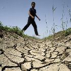 Declining water levels on a farm in Balqis, Egypt