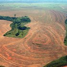 deforestationPara_Greenpeace_AlbertoCeisar