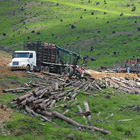 Deforestación en Brasil  