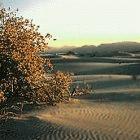 China is battling against advancing deserts
