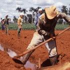 African villagers have adapted to climate change for millenia