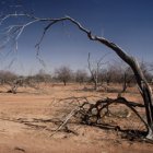 droughtINafrica_FAO