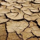 Dried-out land