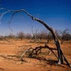 Sceptics can unbalance discussions about climate change