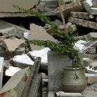 India must update building standards for better earthquake protection
