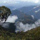 The east slope of the Andes in southern Peru.
