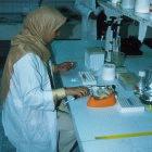 Arab countries have agreed to spend more on science