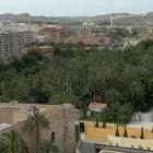 Modern-day Elx, Valencia, Spain. The Elx Palm Grove was declared a UNESCO World Heritage Site in 2000