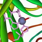 Enzymes could be worth a fortune for Kenya