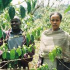Ethiopian farmers