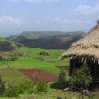 Rwandan farm