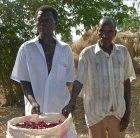 Malawian farmers with their chilli pepper crop