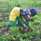 Farmer in Tanzania