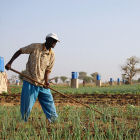 Farmer