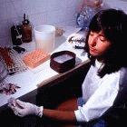 Female Brazilian lab worker
