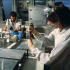 fiocruz_immunopathologyUnit_brazil_whoTDR