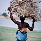 African woman gathering firewood