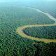 Catedral Verde - Selva amazónica