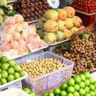 A balanced diet is important — but can't cure disease