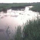 Flooded areas are breeding sites for mosquitoes