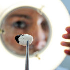 Genetic research in Colombia - CIAT (by Neil Palmer)
