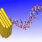 Diagnostic tests will use gold nanoparticles