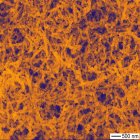 Gold nanoparticles coating nanowires