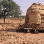 A granary stands in the middle of millet fields in Niger