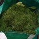 Grass clippings