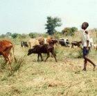 Malawian farmers will benefit from South African science
