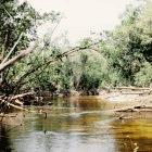 Drought in the Amazon might worsen climate change, says Paul Lefebvre
