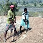 Constructing bunds to limit rainwater run-off from fields in Bihar, India