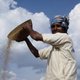 Indian farmer