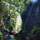 Monkey Forest, Indonesia
