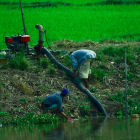 Farmers set up water pump for irrigation