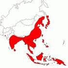Japanese encephalitis (red) is a problem throughout Asia
