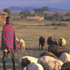Young herder, Kenya