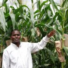 Kenyan agricultural researcher