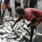 Kenyan Fishermen
