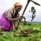 Kenyan farmer