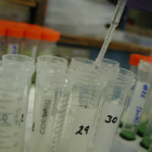 Laboratorio 