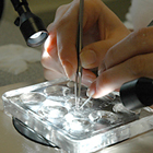 Laboratorio