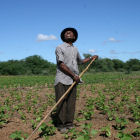 Malagasy farmer