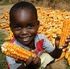 Boy holding maize cobs
