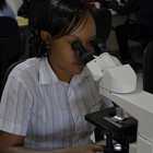 Investigación en malaria