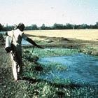 Spraying bodies of water to kill the larvae of mosquitoes that pass malaria to humans through their bites